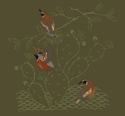 Sacred Quail