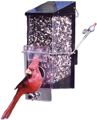 Cardinal Feeder